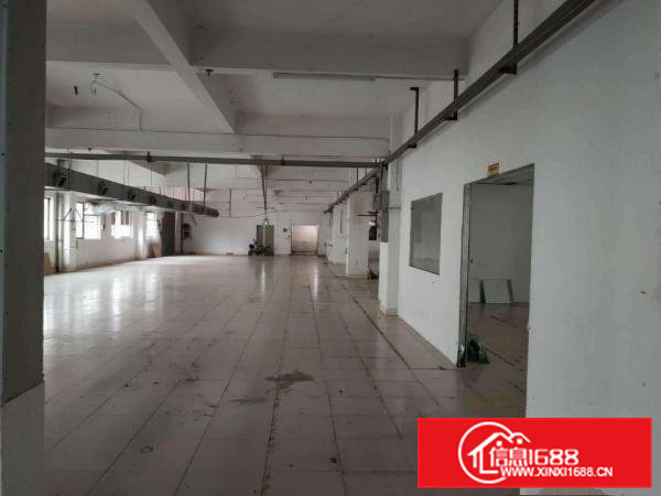 低价独门独院厂房出租