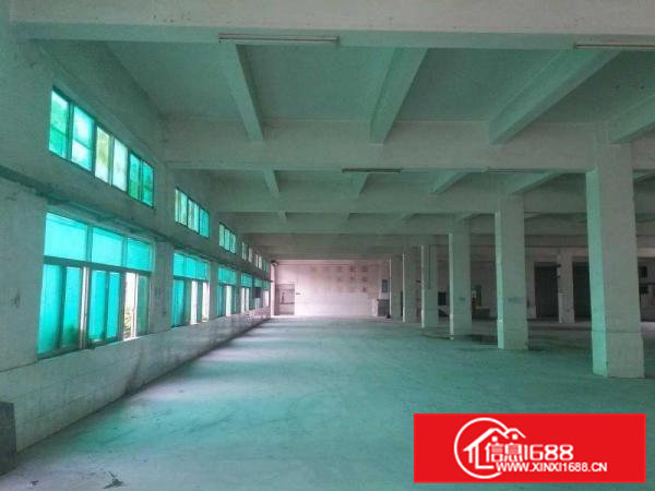 漱新招租独门独院标准三层厂房4800