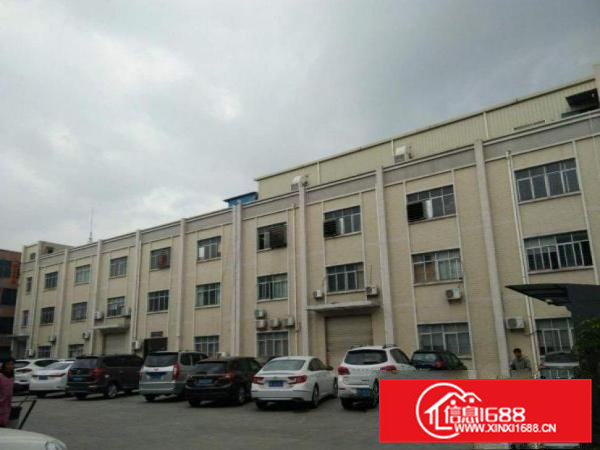 星光新出标准一楼400方，价格便宜，带装修