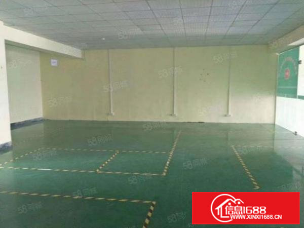 常平新出原房东整层420平厂房出租标准2吨货梯水电齐全精装修