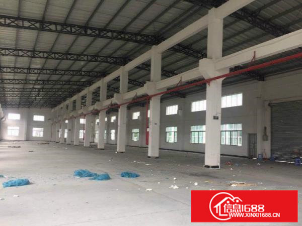 杨屋新出独院单一层钢构1300平方厂房出租