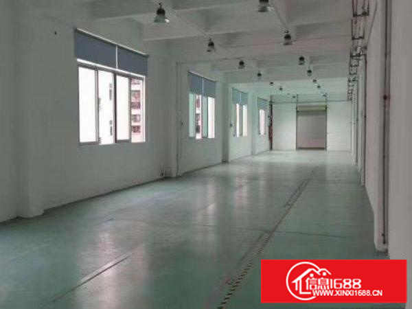 环观中路3楼800平方