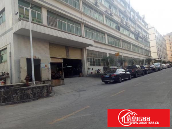 白泥坑花园式独院厂房3100平方火爆出租大小可分租