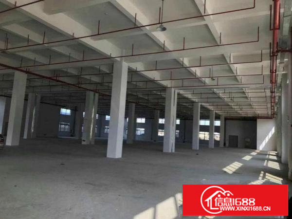 横岗塘坑地铁站两公里8层新厂房原房东招租价格实惠