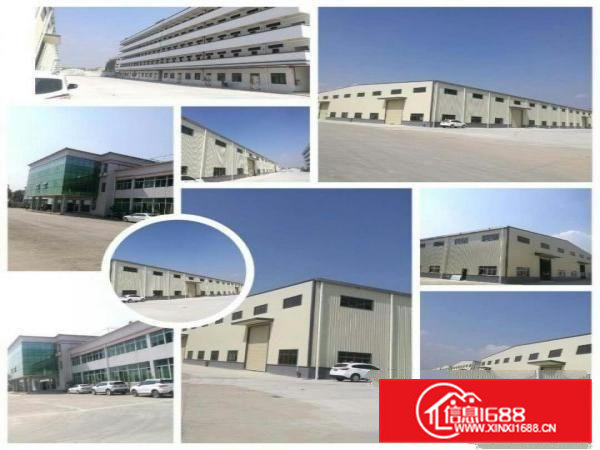 桥头镇稀缺厂房10米高带牛角独院单一层厂房