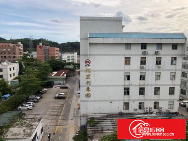 六约业主直租免中介100平200平300平包隔墙水电到户