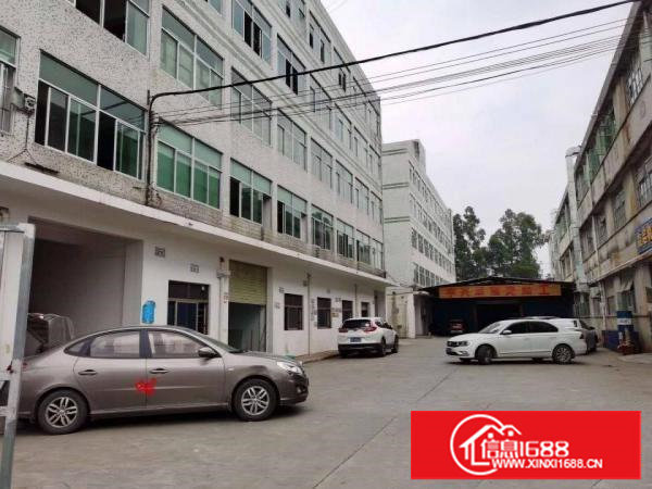 塘厦莲湖新出三楼厂房450平方，现成装修，主线到位