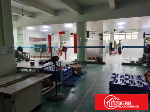 大朗大井头毛织厂房1420平方精装出租