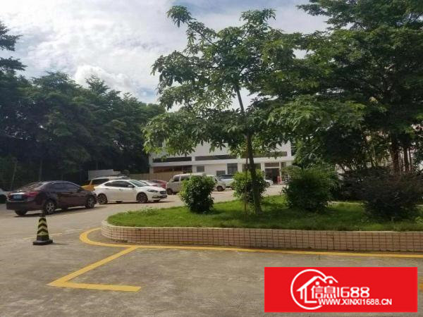 龙华大浪新出2000平豪华装修厂房