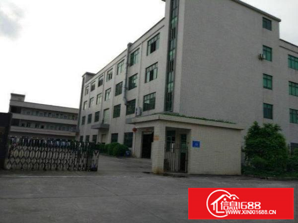 合三栋标准厂房1000平方出租