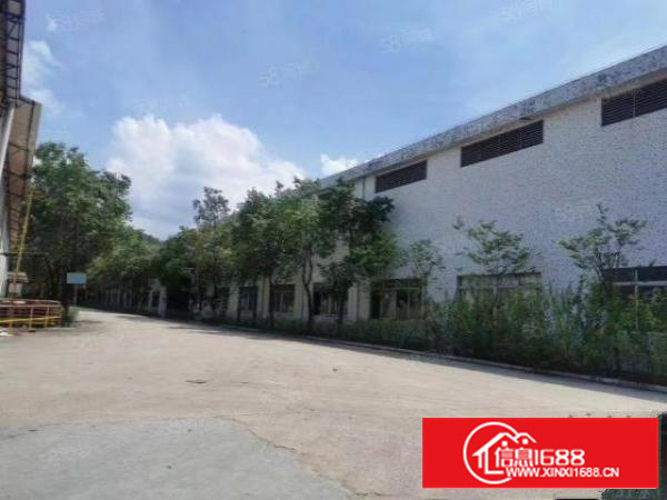 万江原房东独院单一层厂房，空地大，价格便宜