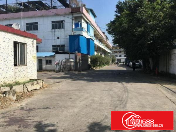 新滘工业区3000方简易厂房出租