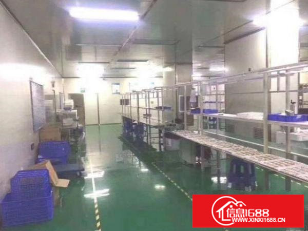 龙岗新出楼上1000平带精装豪华装修厂房出租