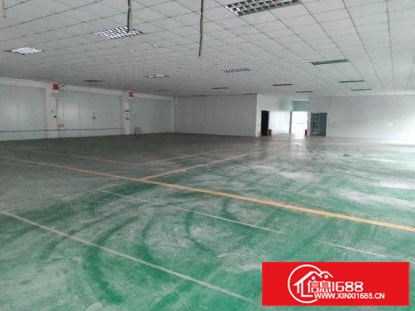 大岭山厂房、仓库出租，全新厂房大小面积都可分