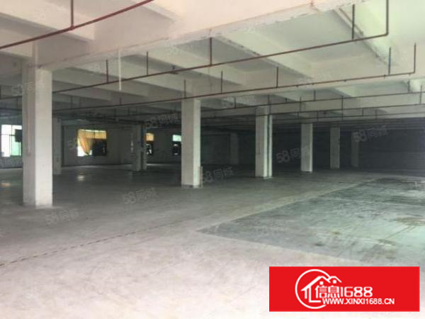 重工业豪华一楼标准厂房