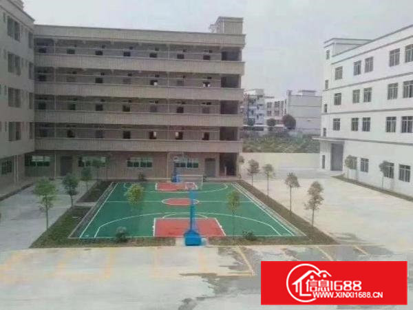 （招租）清溪三中工业园新空出标准3楼1000平，带豪华装修