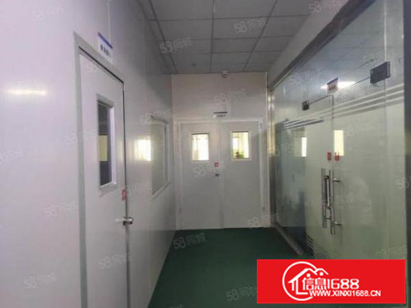 龙华工业园区精装修仓库厂房出租精装修可分租