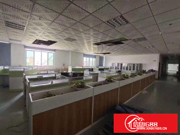 清溪新出独栋厂房出租,500平方起租,共计10500平方