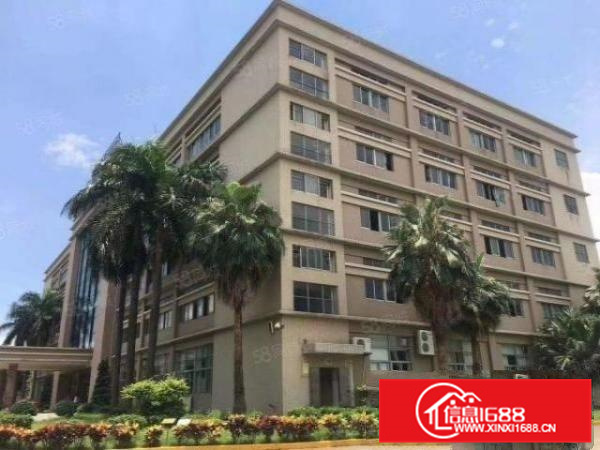 里水房东11元楼层厂房6000方面积实量无公摊可分租环评秒过