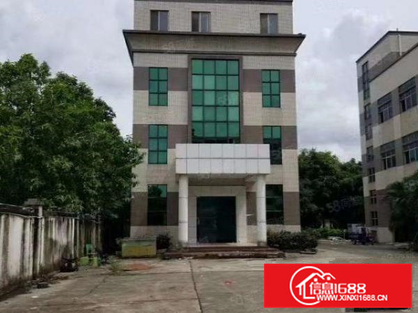 横沥新出国有证独门独院厂房出租