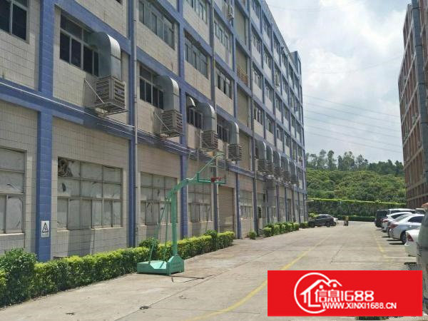 龙岗坪地中心村原房东楼上1000平带装修厂房实际面积出租