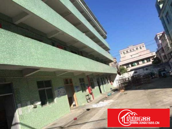 碧岭独院标准厂房三层带电梯3000平招商（可分租）