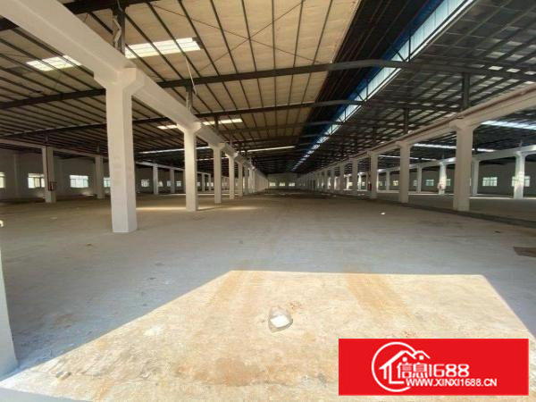 全新单一层独院厂房砖墙到顶