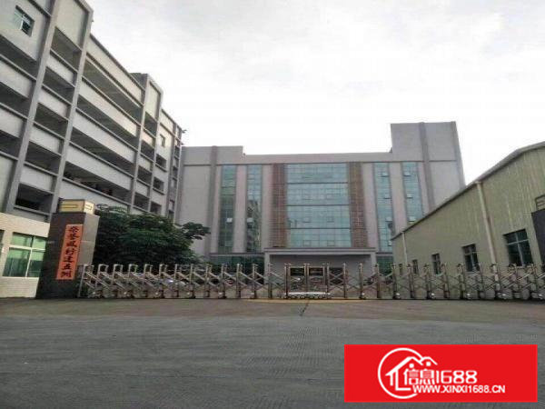 凤岗金凤凰新出一楼800厂房出租带牛角可办环评