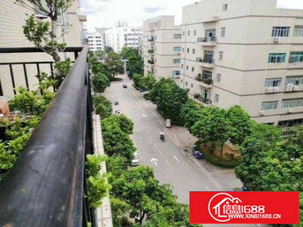 龙华大浪原房东红本厂房出租800平方，带装修