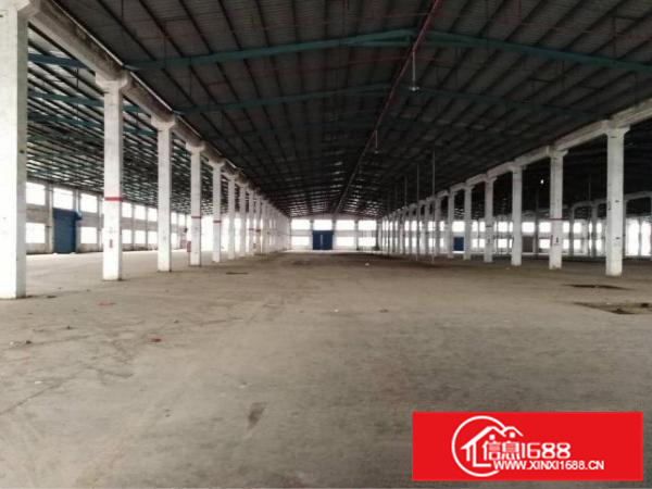 惠阳秋长高大上钢构厂房，带红本低价出租