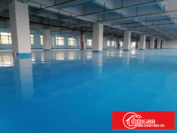 石排镇全新独院厂房招租