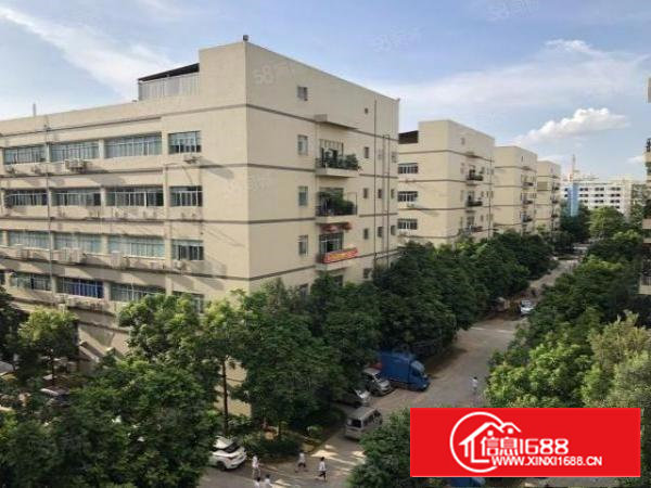 沙井共和花园式厂房，2楼1350平米，带精装修不要转让费