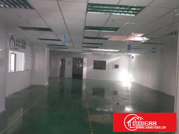 惠阳新圩花边岭工业区一楼650平可做污染价格实在