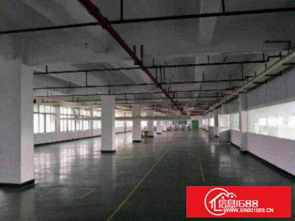 高埗标准一楼厂房800或1000㎡出租水电齐全交通方便