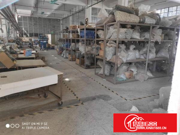 塘厦沙湖近观兰一楼厂房出租650平价格便宜