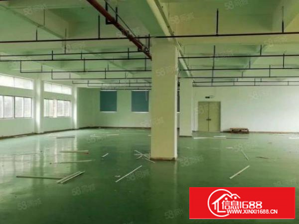 原房东独院分租2楼一整层1500平方