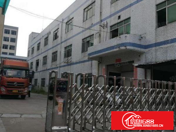 常平还珠沥新出一楼600平米，现成水电，带办公室装修价格便宜