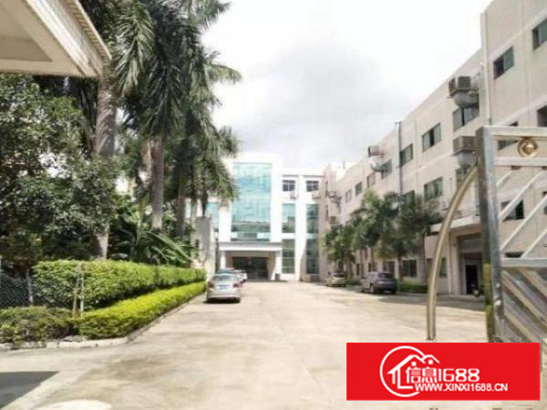 茶山冲美村火爆出租一楼750平方可办环评