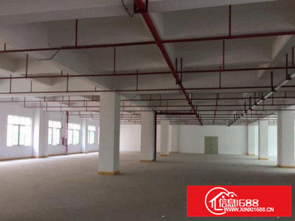 出租龙岗区龙岗同乐工业区豪华办公室装修二楼1200平方