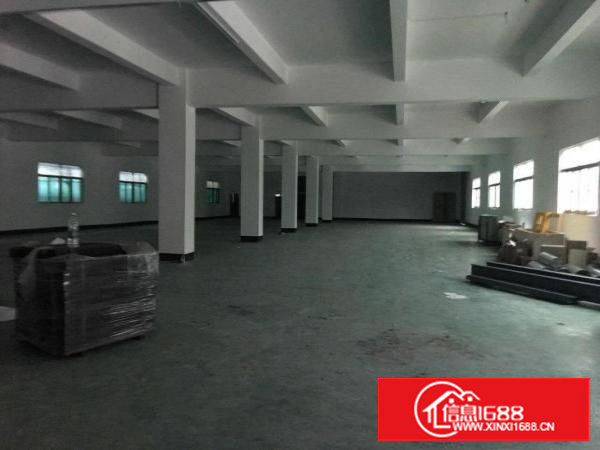 石鼓二楼1222平新厂房，3吨电梯