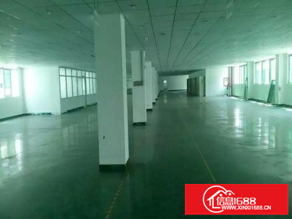 大浪新百丽原房东1100平带装修厂房出租