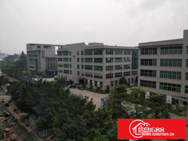 南联一楼厂房600平米出租