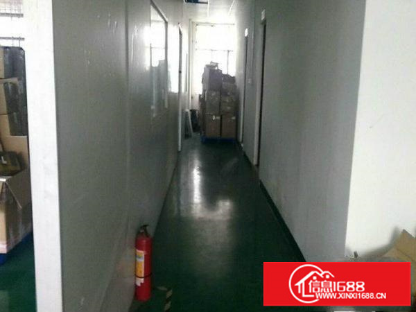 龙岗龙东新出带电梯二楼1200平整层招租(有装修)