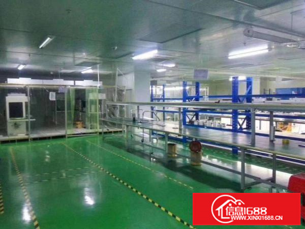 标准独院二楼楼带装修厂房2800平方出租