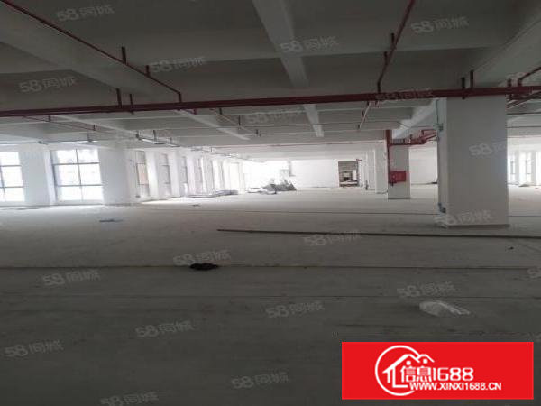 上市公司临深仅一步之遥凤岗全新38000平厂房可分租