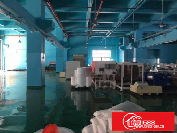 形像好有牛角，6.5米高，凤岗一楼标准厂房出租1400平