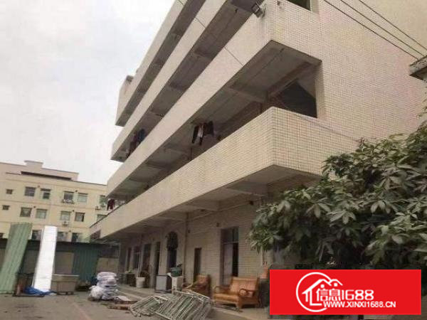 大井头独门独院标准厂房，适合毛织电子