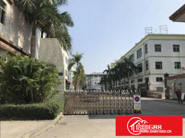 平湖高新区原房东红本1700平花园厂房招租可分租