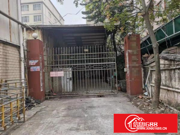 大塘空出原房东小独院铁皮1500方出租，空地1000方