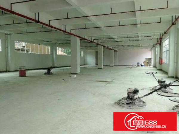 万江石美标准厂房分租楼上2、3楼2000平出租